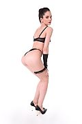 Ave Deva Glitter Hearts istripper model